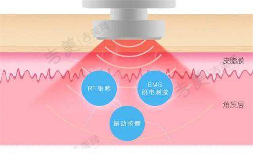 二、深圳欢乐丽格医疗美容诊所基本信息