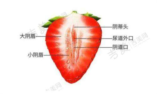 珠海九龙整形医院环境与服务亮点