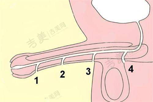 珠海九龙男科医院的技术创新能力怎样