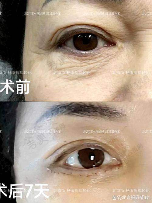 张登洋医生的执医荣誉状况