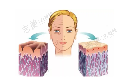 谢宏彬出诊时间：规律与变动须知