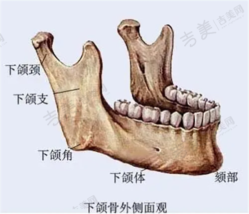 六、余文林唇裂鼻畸形也能修复:专精技术解难题