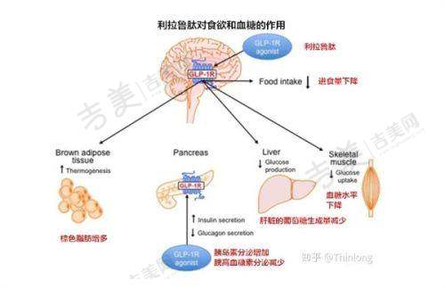 杨迪眼周筋膜提升价格贵不贵？