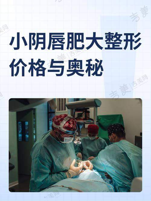 [医院名称]的骨干医生团队