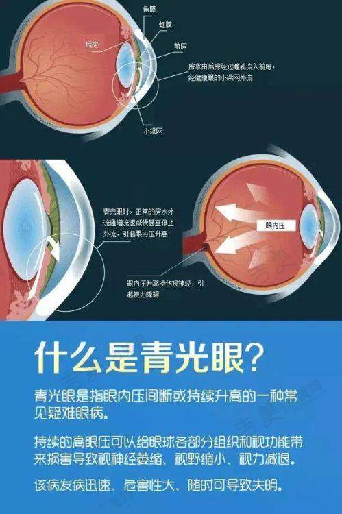 内蒙古自治区中医医院眼科医生简介