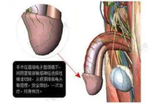 深圳名丽医疗美容医院的服务质量怎么样