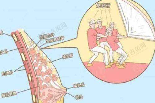 谢志军 医生的个人资料简介