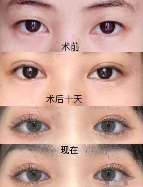 李平珍医生的执医荣誉成就