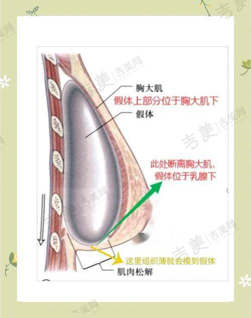 谢尚生医生众多的执医荣誉