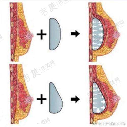 王秀红医生的执医荣誉情况