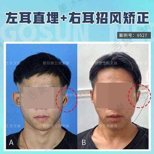 胡志灵医生的执医荣誉