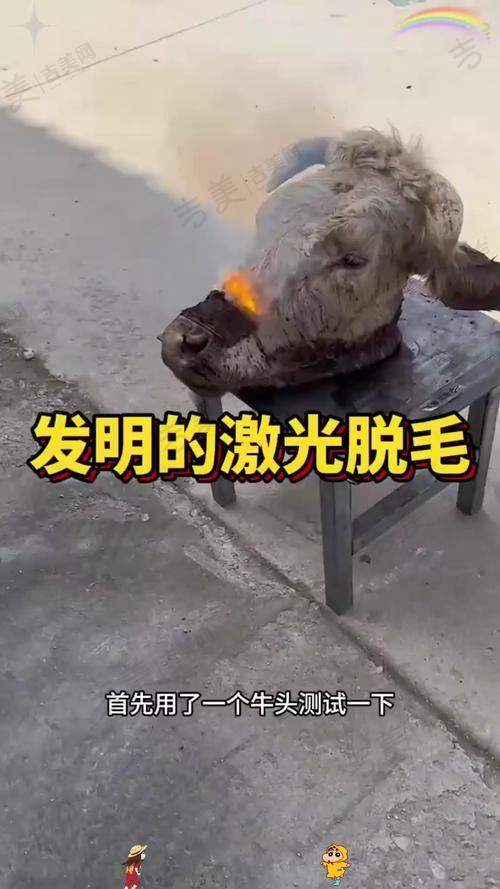 南京欧华整形医院价格表