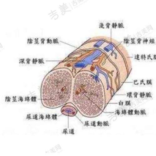成都军建医院正规口碑好，患者的评价如何？