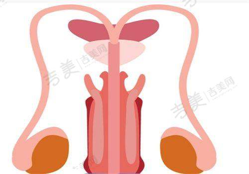 苏州打瘦脸针哪家医院好?其他医院之苏州大学附属第一医院烧伤整形美容外科