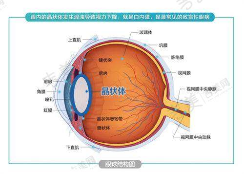 贵港爱尔眼科医院与其他医院对比