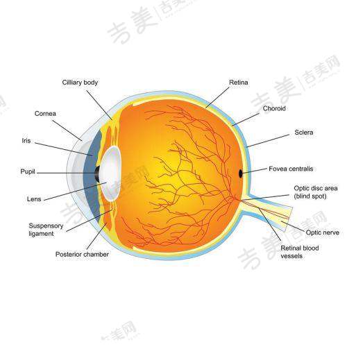 广州花都爱尔眼科医院特色项目介绍