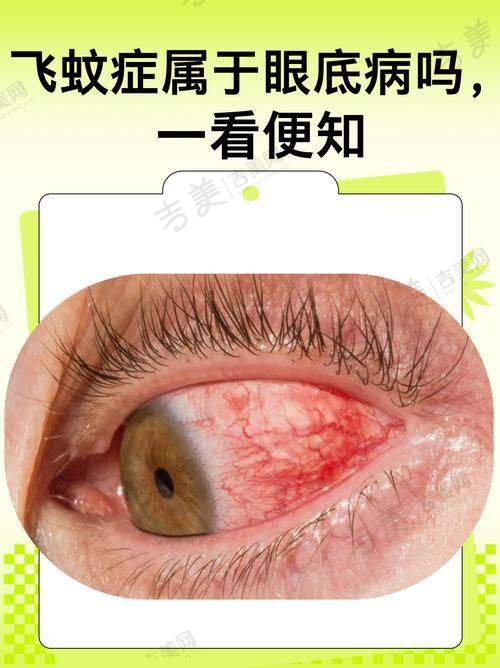 重庆南坪爱尔眼科医院停车服务