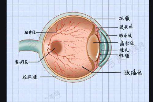 南宁爱尔眼科医院兴宁分院眼底病专科特别专精