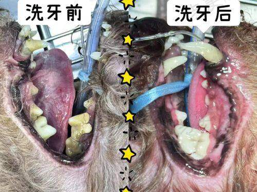 南昌西湖德韩口腔门诊部顾客实例