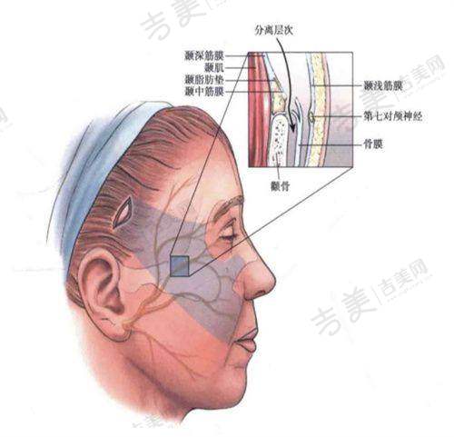 吉美网