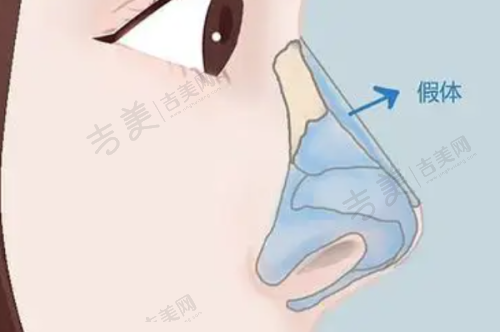 程焕武的任职经历和荣誉与成就