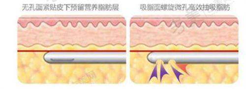吉美网
