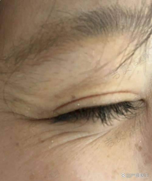 顾海峰的任职经历和荣誉与成就