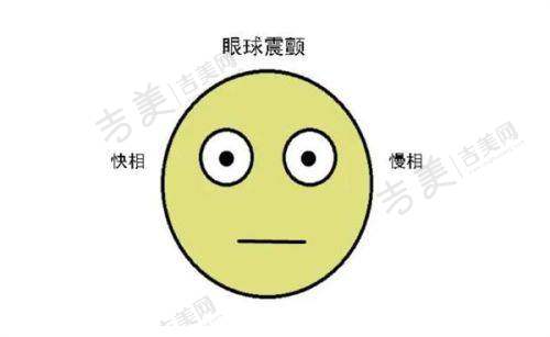 总结与建议