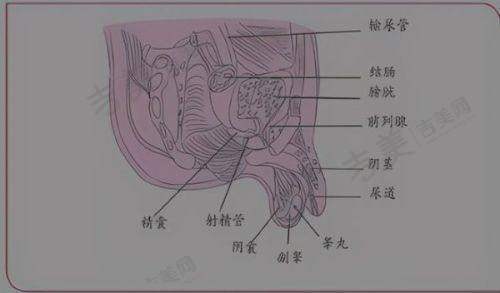 深圳朱冠峰医生祛眼袋挂号方式攻略