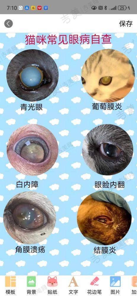 中卫爱尔眼科医院基本信息