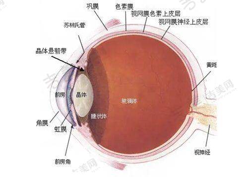 重庆南坪爱尔眼科医院医生团队