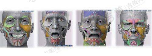 北京联合丽格做酷塑冷冻减脂优势