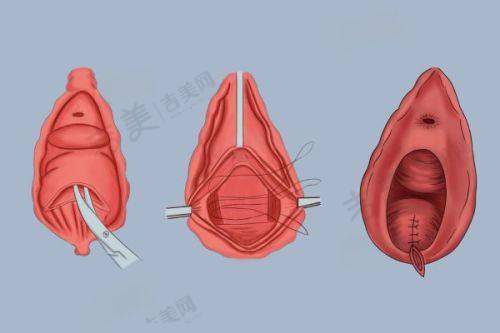 其他酷塑法定认证正版机构情况