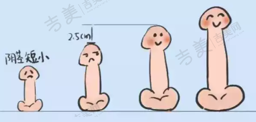 医生介绍