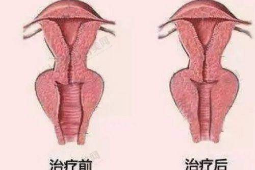 北京嘉禾整形的服务质量好吗