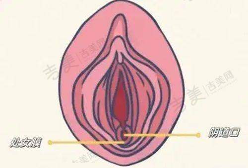 北京嘉禾整形医院的脂肪整形项目怎么样