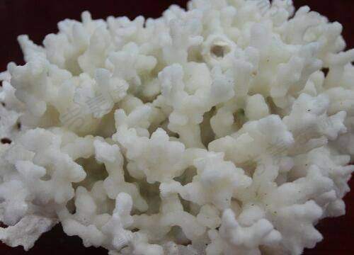 北京嘉禾整形医院的主推项目有哪些