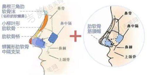北京嘉禾整形医院的侯智慧院长在私密整形方面表现怎样