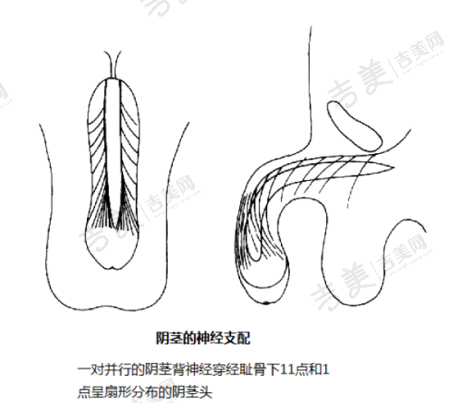 北京嘉禾医疗美容医院概况