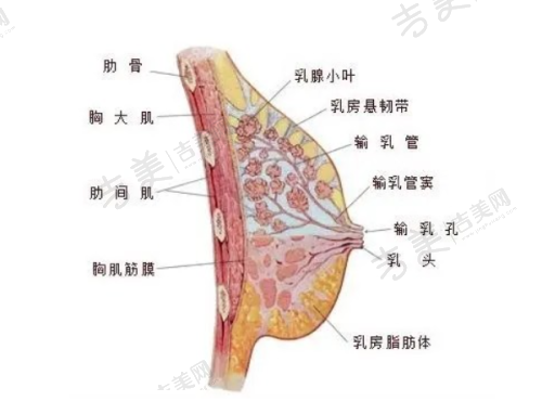 从不同地点出发到北京嘉禾整形的地铁方案