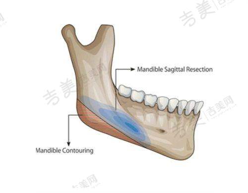 北京嘉禾医疗美容医院概况